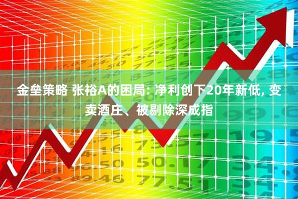 金垒策略 张裕A的困局: 净利创下20年新低, 变卖酒庄、被剔除深成指